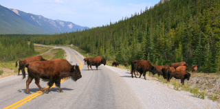 Autotour Canada