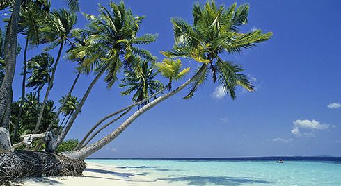 beach