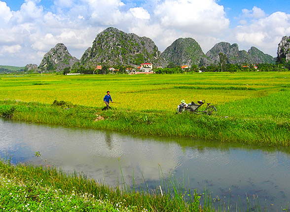 Circuit Vietnam