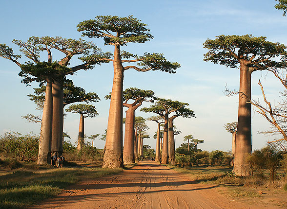 Vacances Madagascar