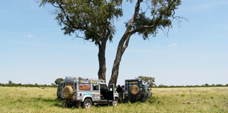 Safari Botswana