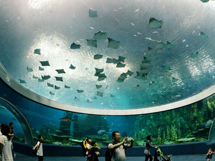 Vue panoramique le plus grand aquarium du monde en Chine
