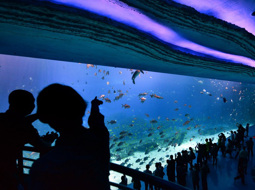 Aquarium Chimelong Ocean Kingdom