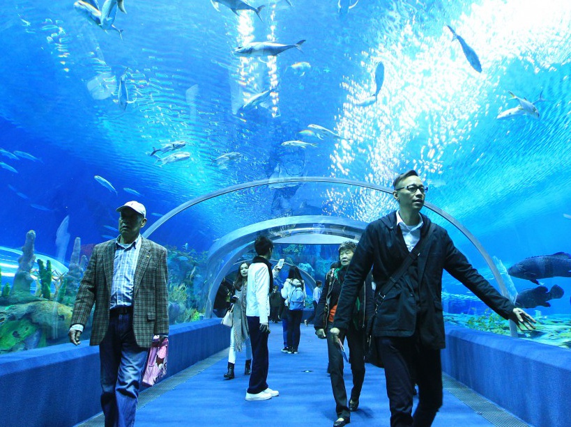 Le Chimelong Ocean Kingdom
