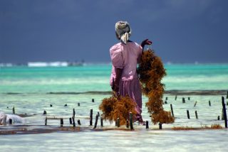 itinéraire en Tanzanie