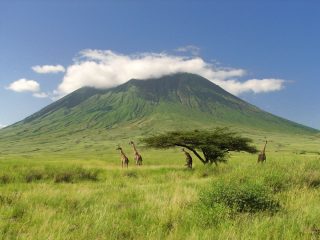 Lune de miel Tanzanie