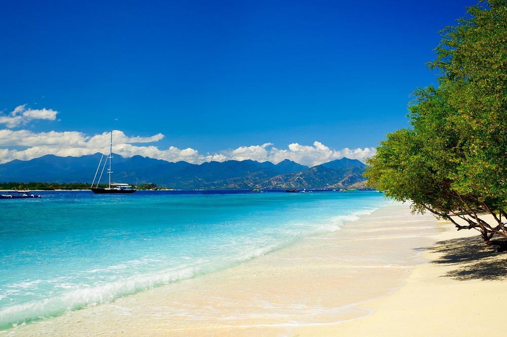 que faire a bali
